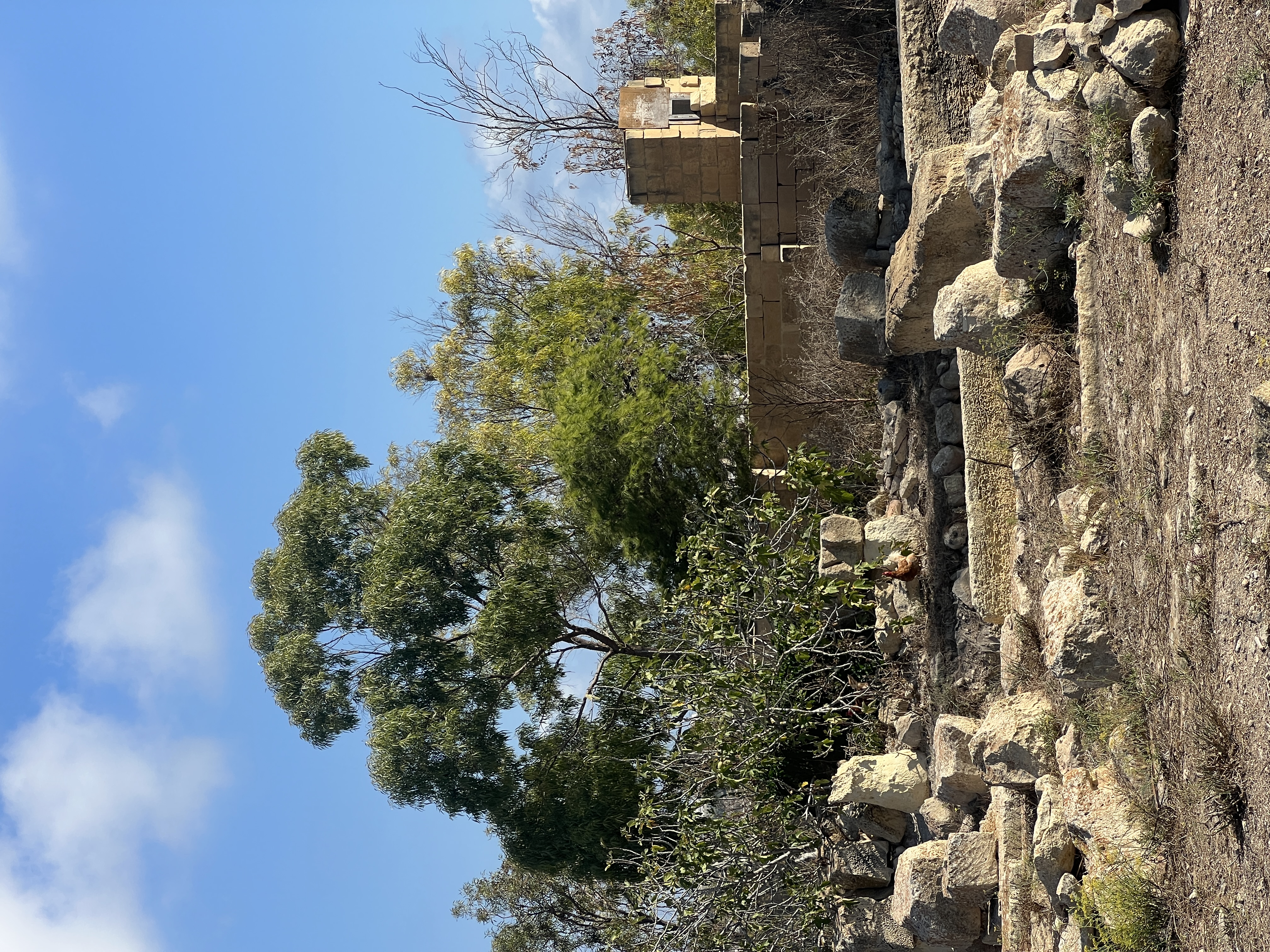 Archaeological remains at Tas-Silġ, Malta