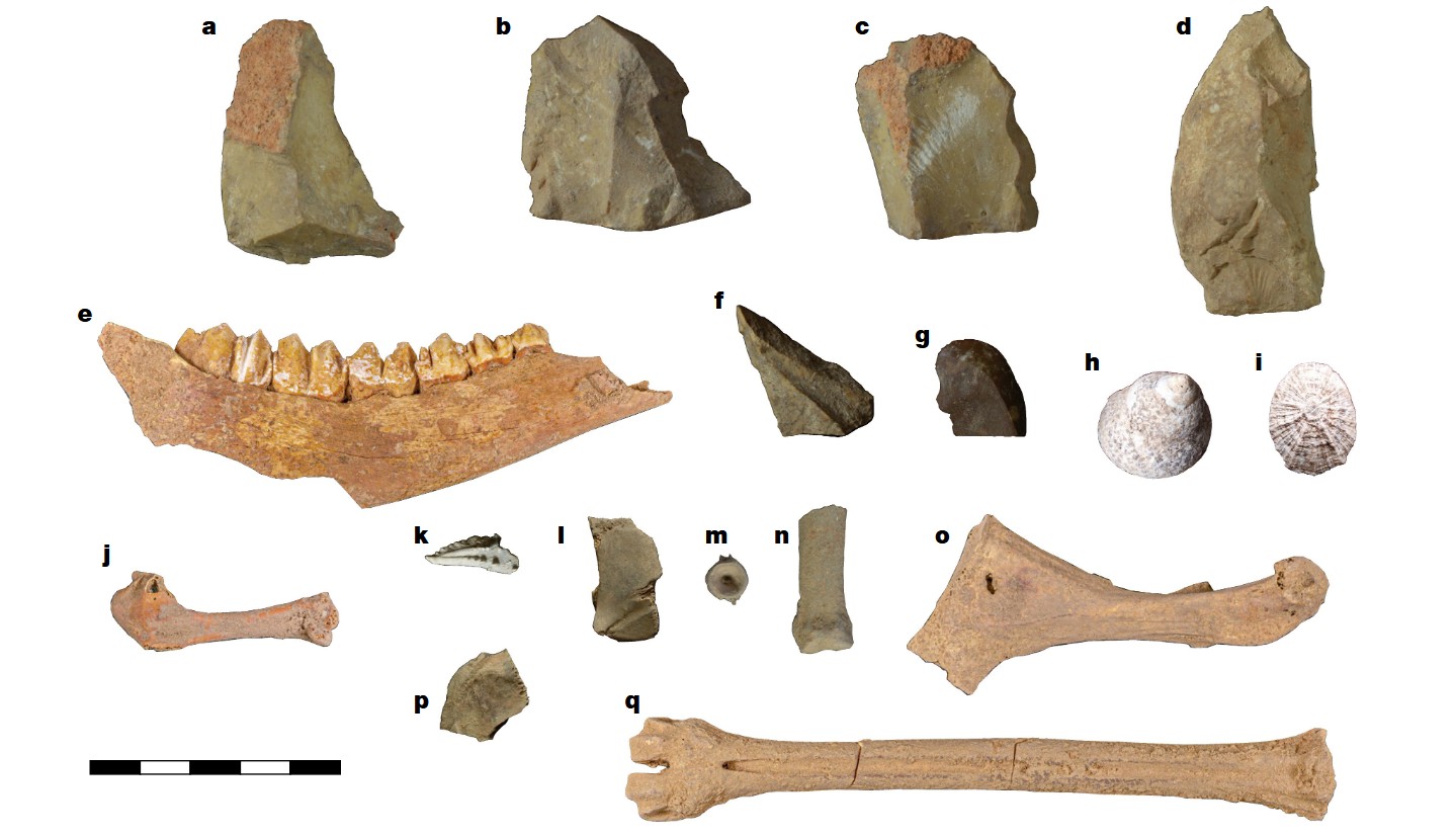 Fauna and lithics from the Mesolithic Horizon at Latnija